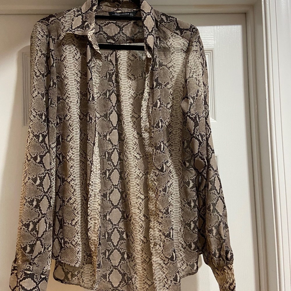 Zara Snakeskin Buttondown Shirt